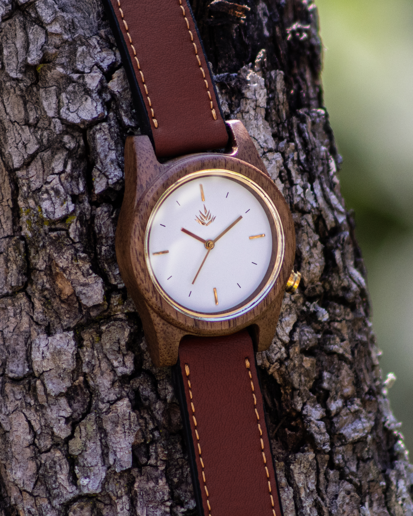 Agavia Line 37mm - Walnut