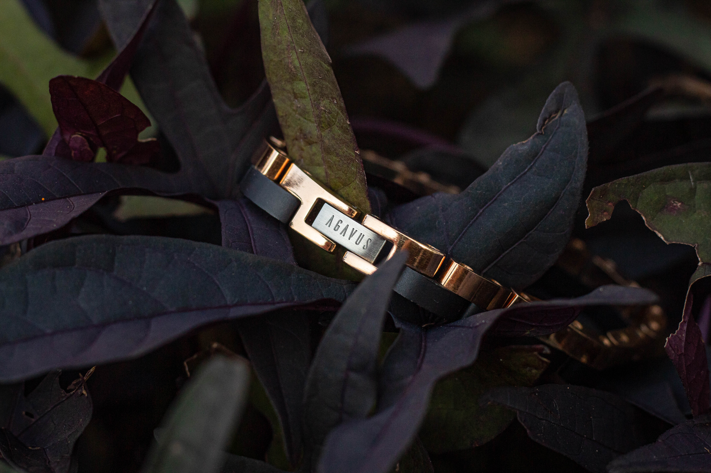 Brazalete doble / Ébano