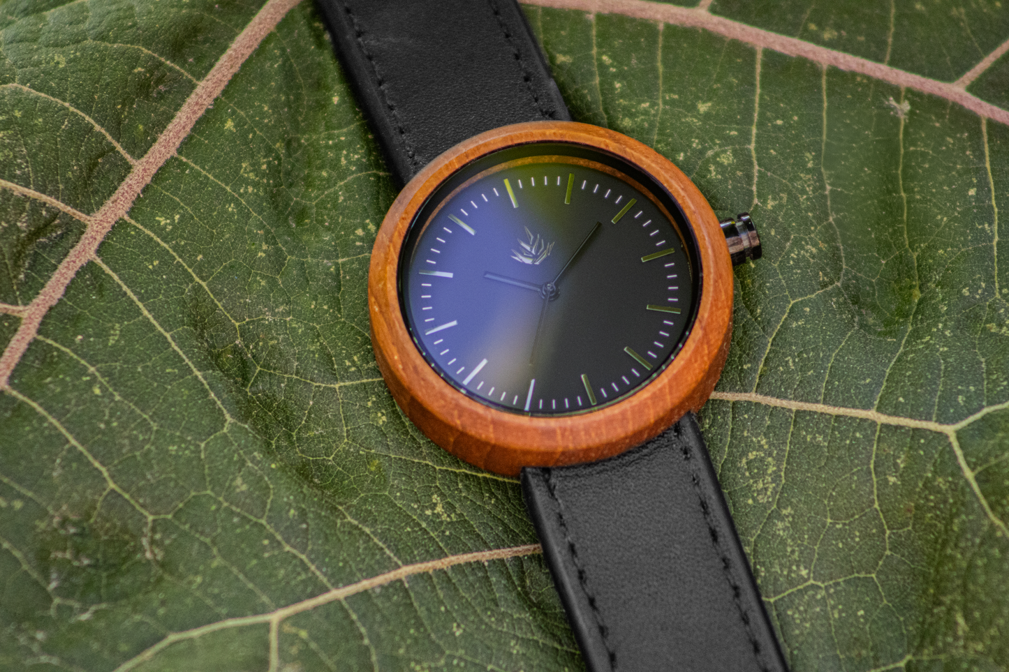Special Edition Line 37mm - Teak