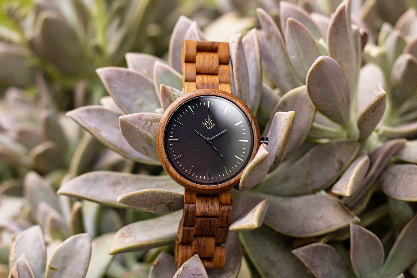 Línea Edición Especial 44mm - Teca
