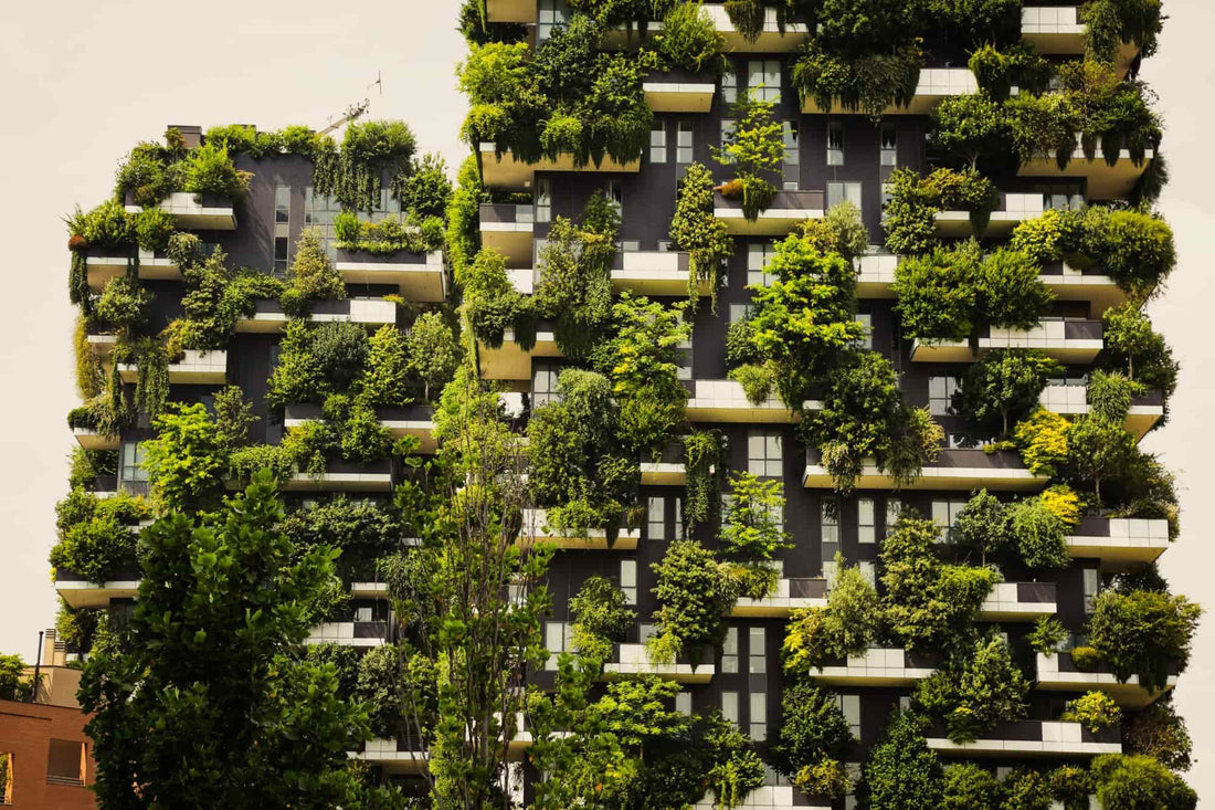 Diseño Sostenible: Cómo Contribuir al Medio Ambiente a Través del Diseño