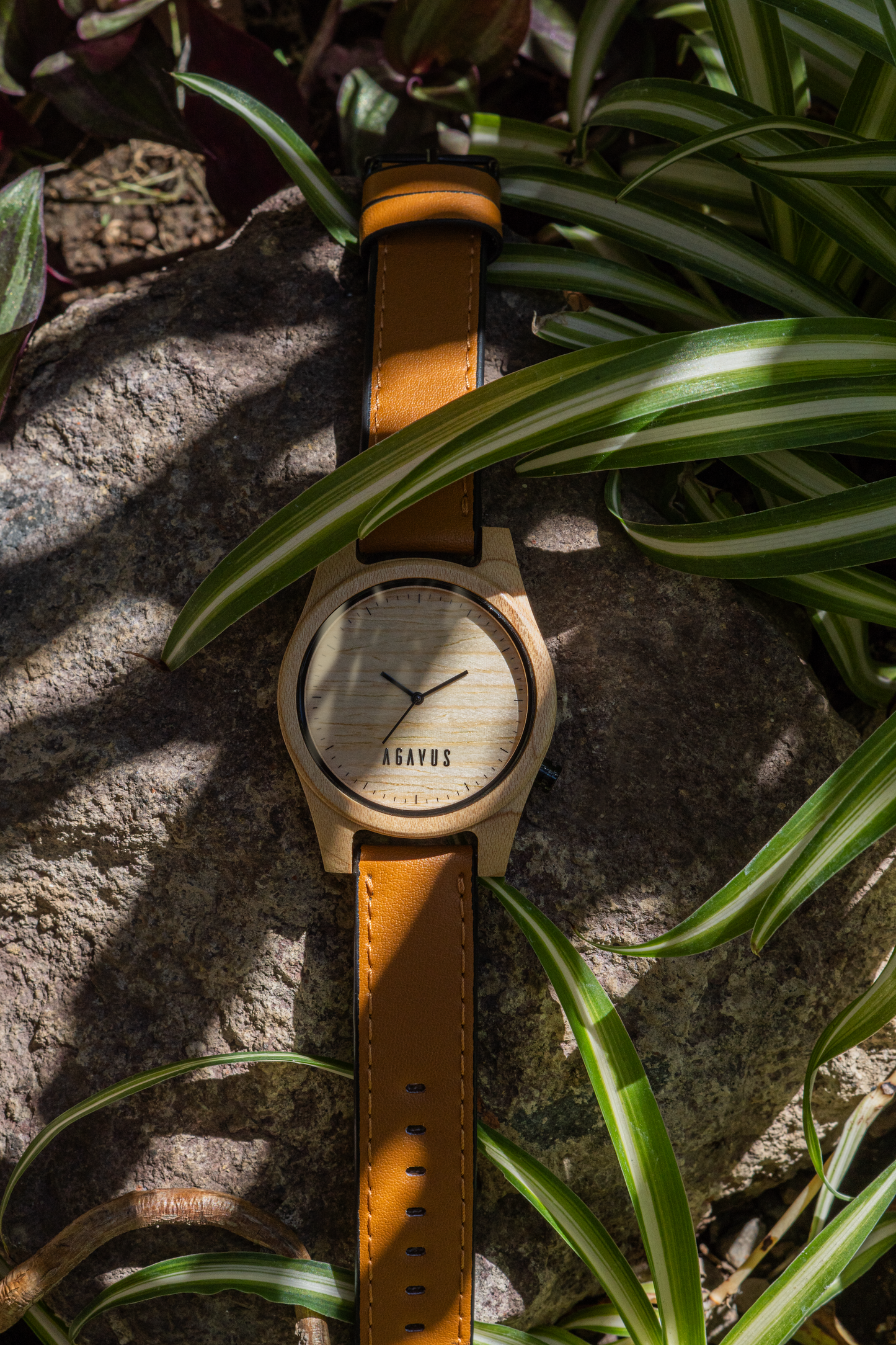 Agavia Line 44mm - Maple