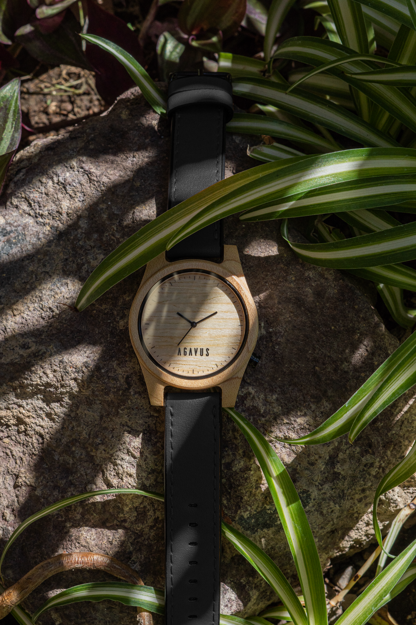 Agavia Line 44mm - Maple