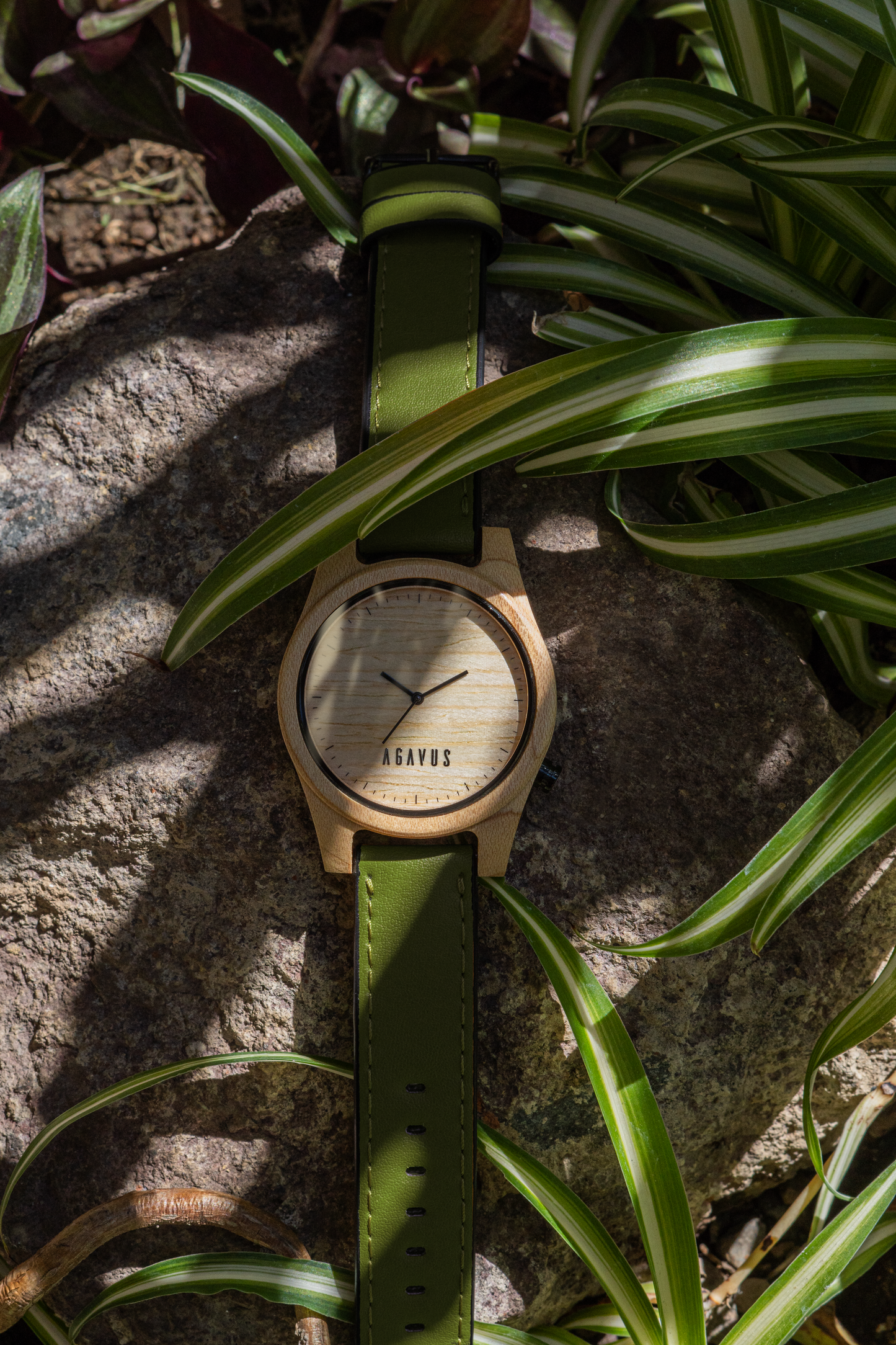 Agavia Line 44mm - Maple