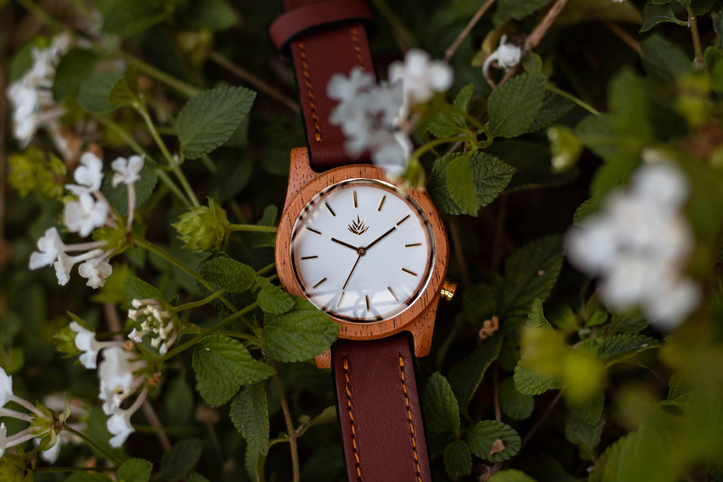Línea Agavia 37mm - Caoba