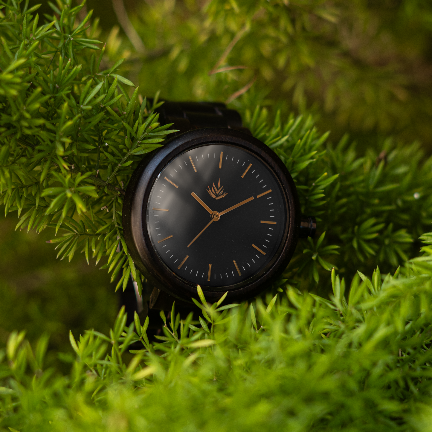 Línea Edición Especial | 37mm | Ébano | Bronce