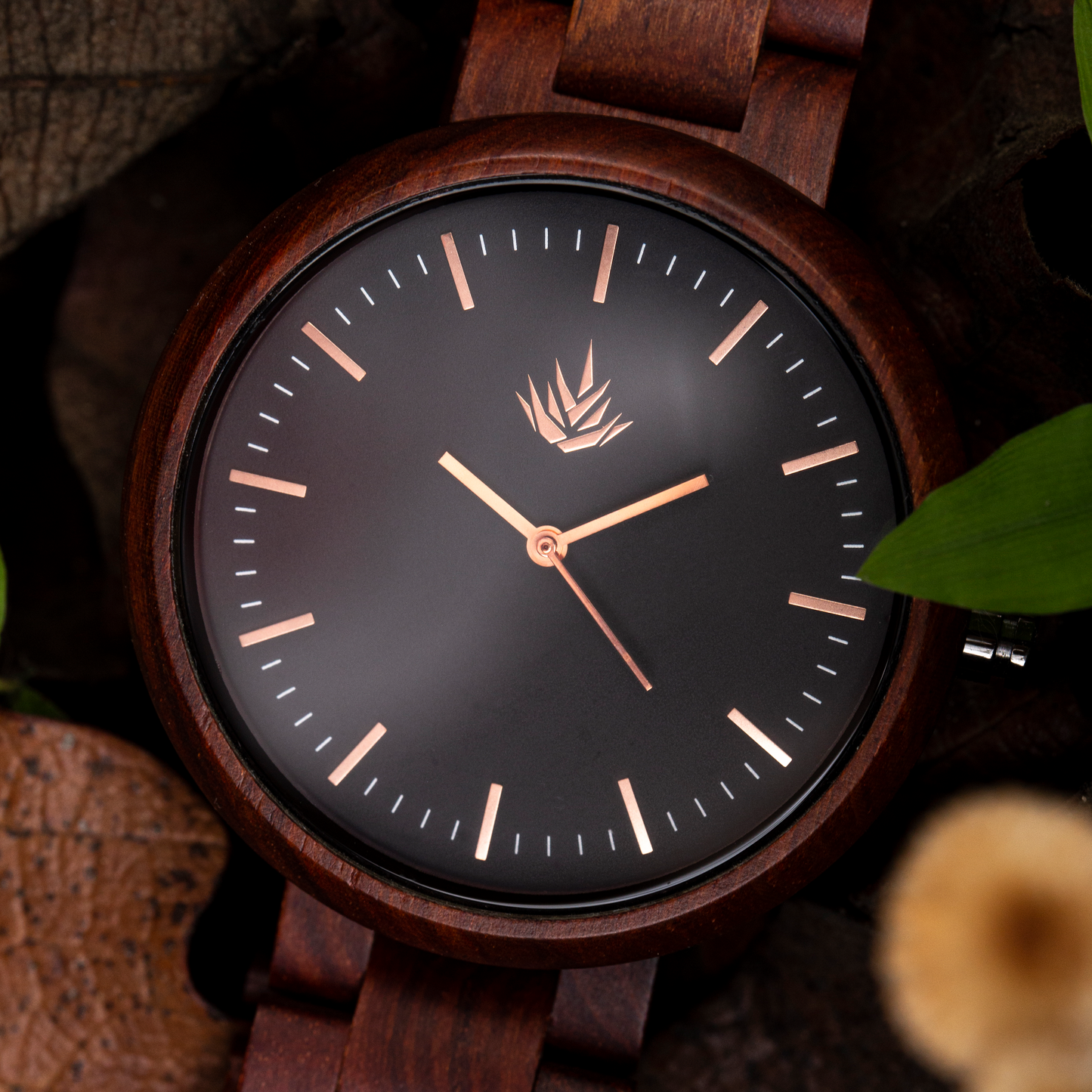 Pareja de Agavus | Edición Especial | 37mm y 44mm | Sándalo Rojo | Oro Rosa | Carátulas Negras