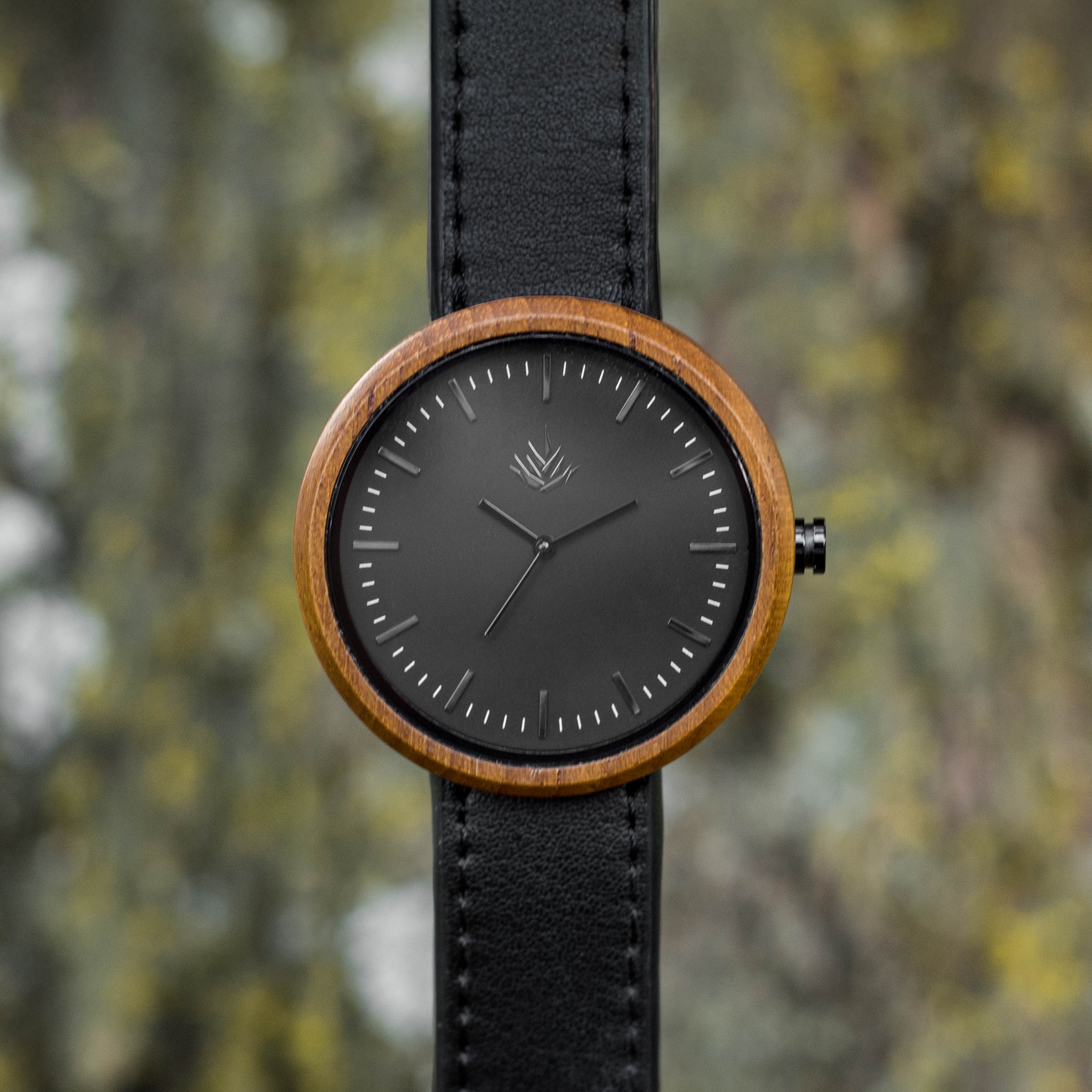 Pareja de Agavus | Edición Especial | 37mm y 44mm | Teca