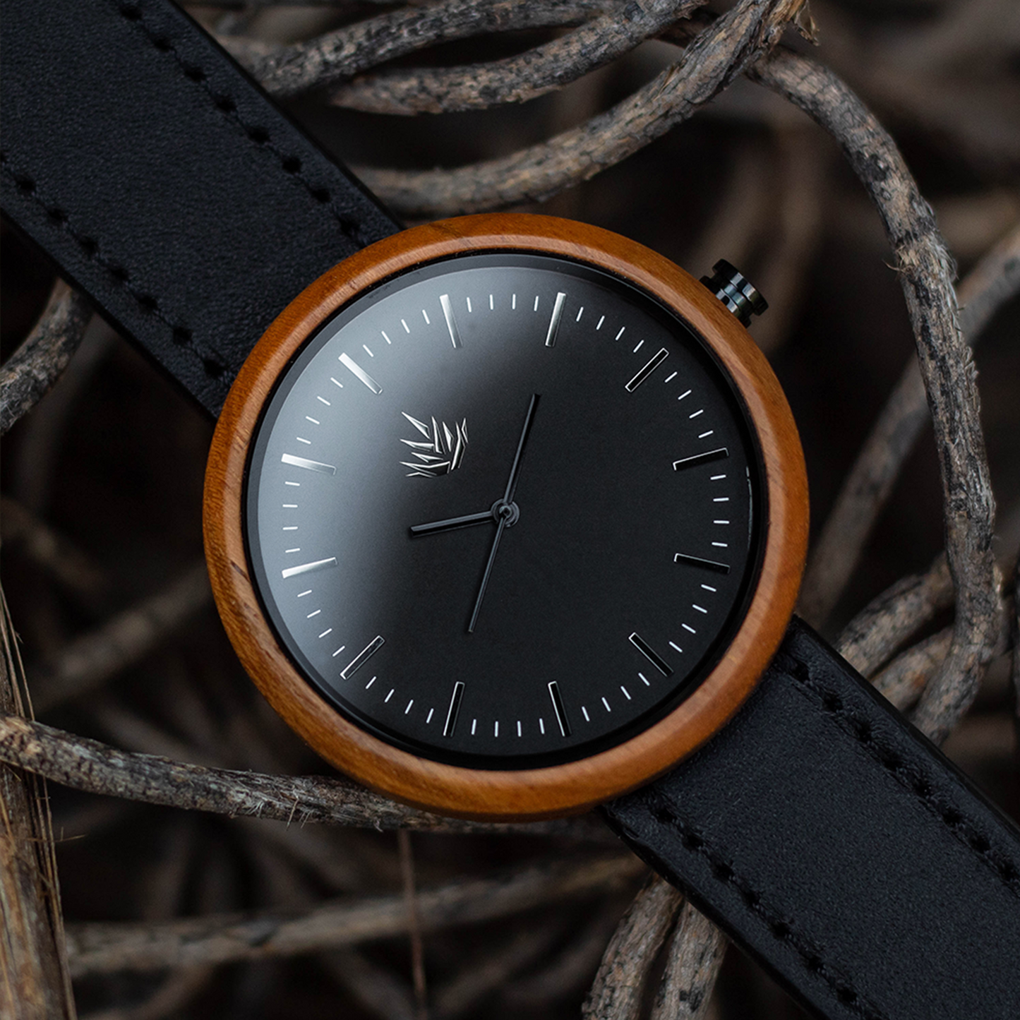 Pareja de Agavus | Edición Especial | 37mm y 44mm | Teca