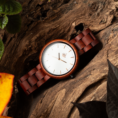 Pareja de Agavus | Edición Especial | 37mm y 44mm | Sándalo Rojo | Oro Rosa | Carátulas Blancas