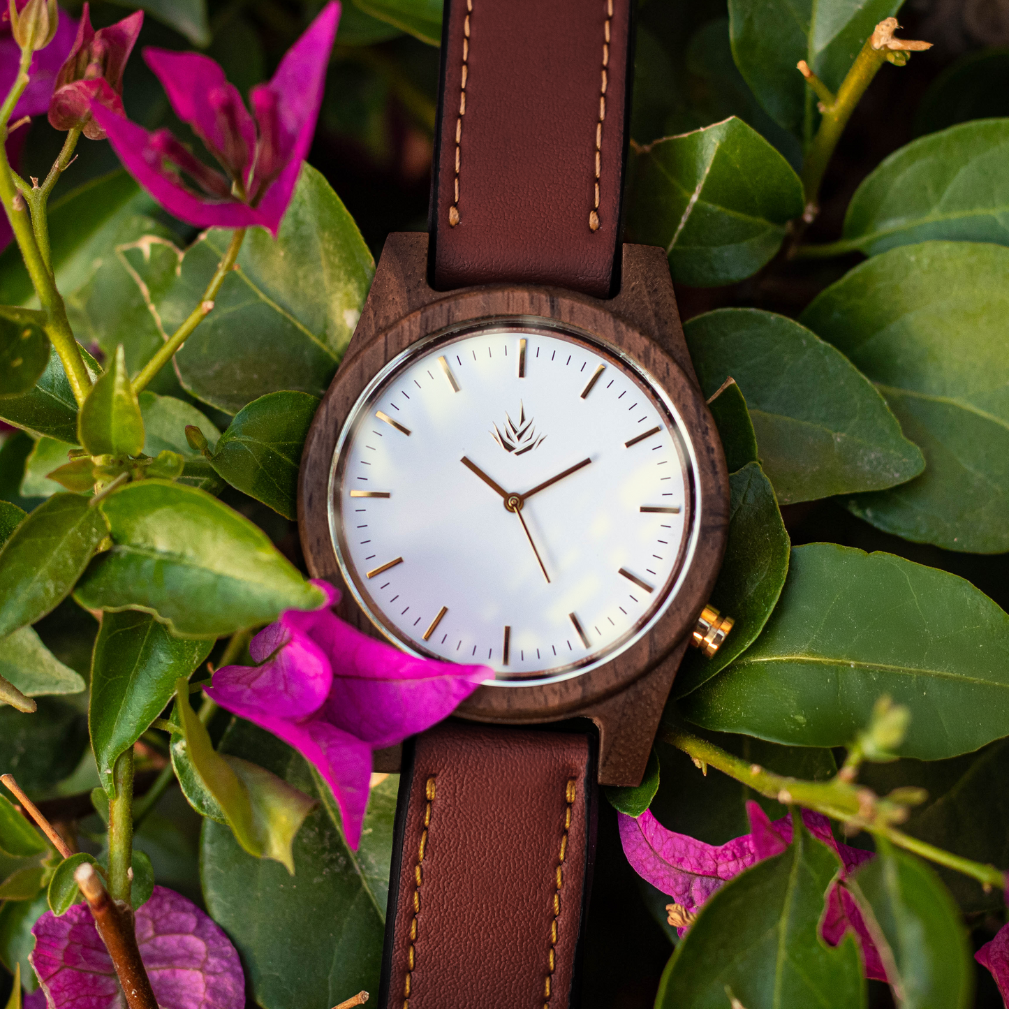 Agavia Line 44mm - Walnut / White