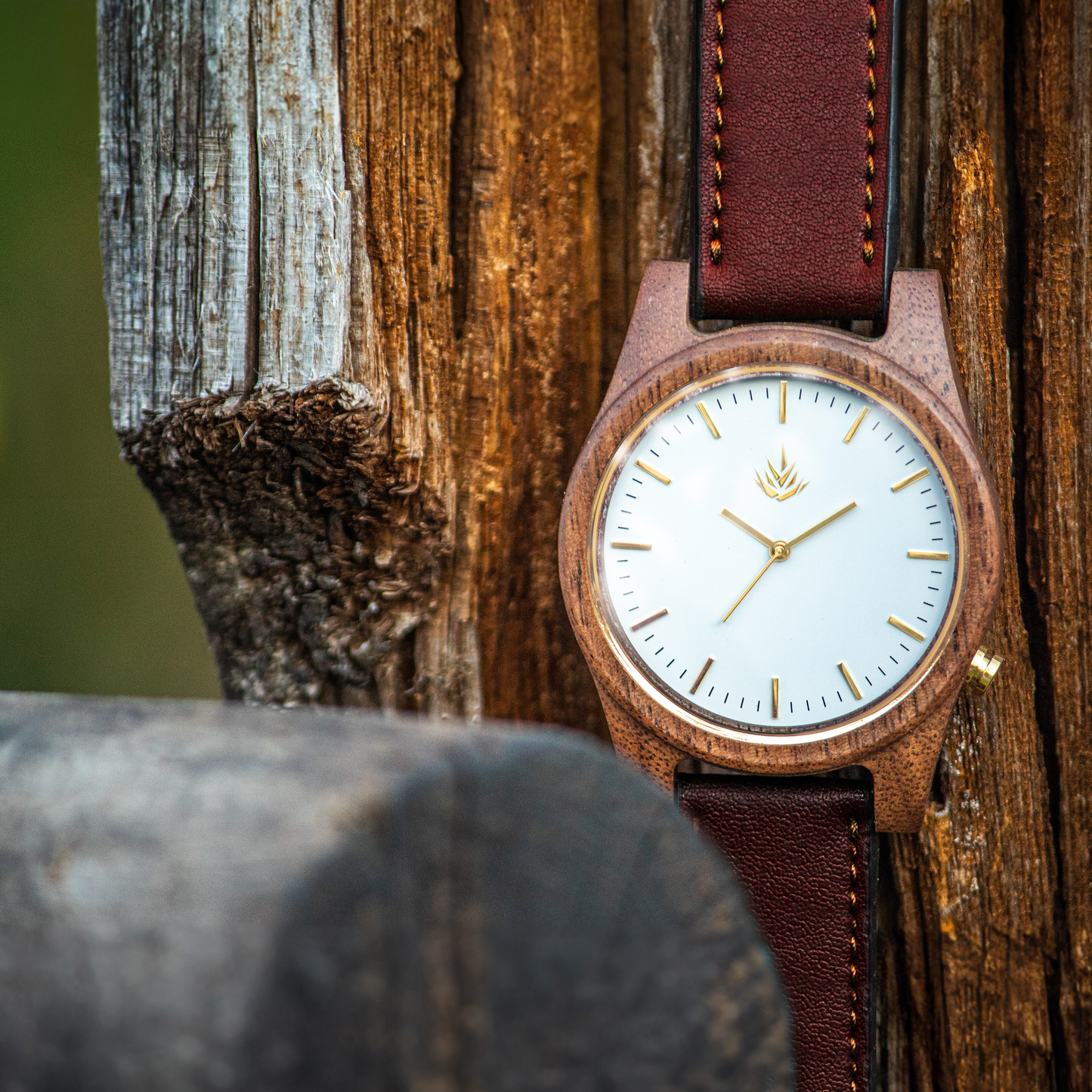 Agavia Line 44mm - Walnut / White