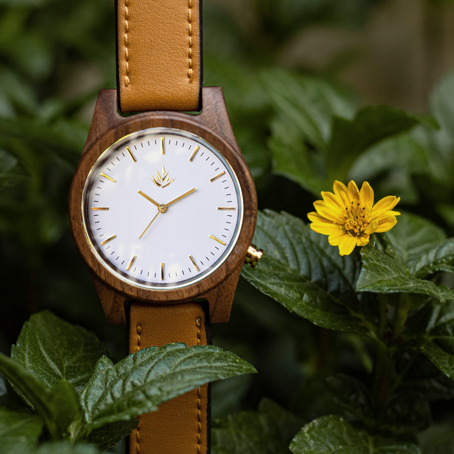 Agavia Line 44mm - Walnut / White