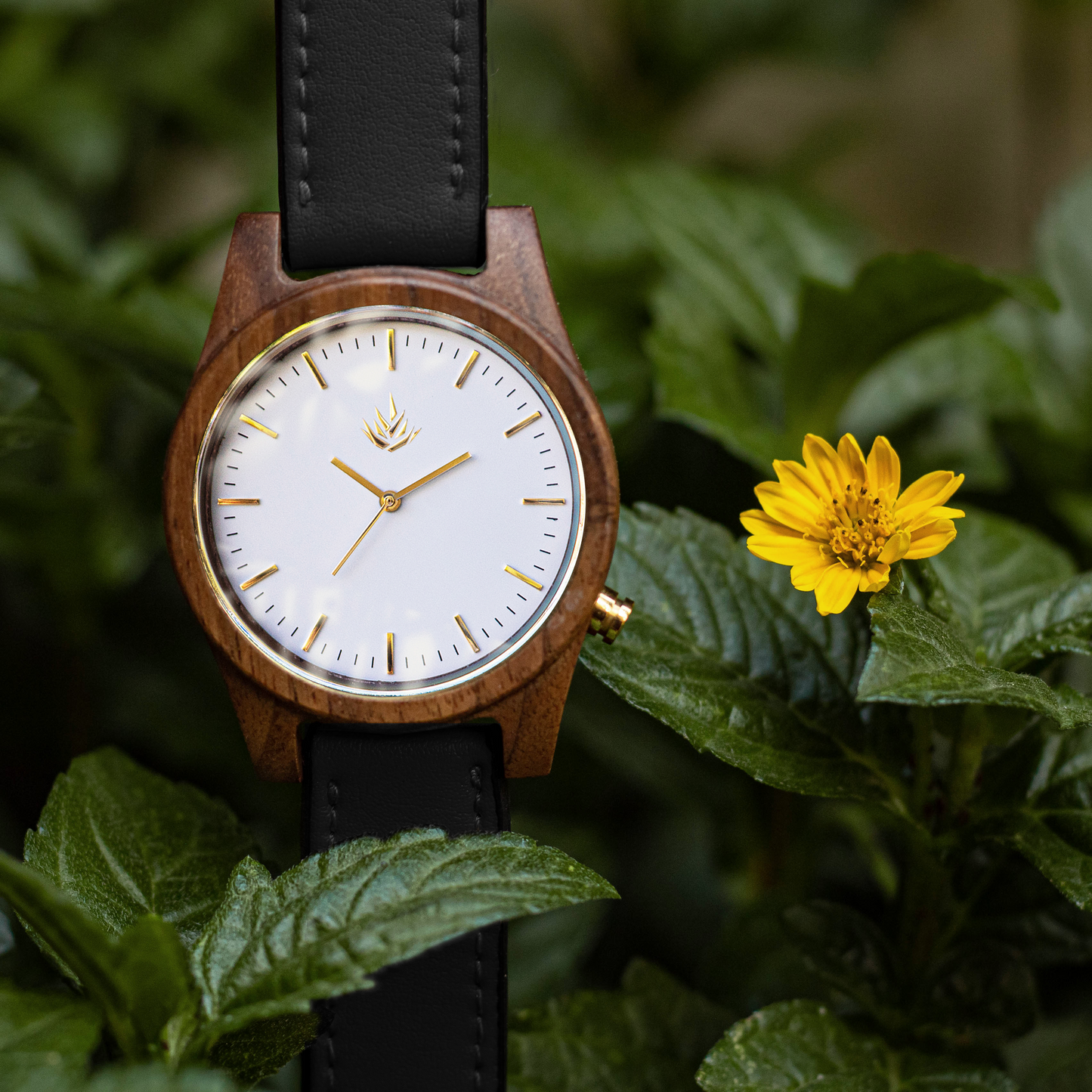 Agavia Line 44mm - Walnut / White