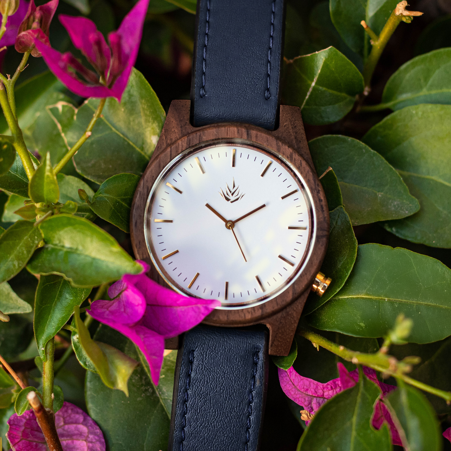 Agavia Line 44mm - Walnut / White