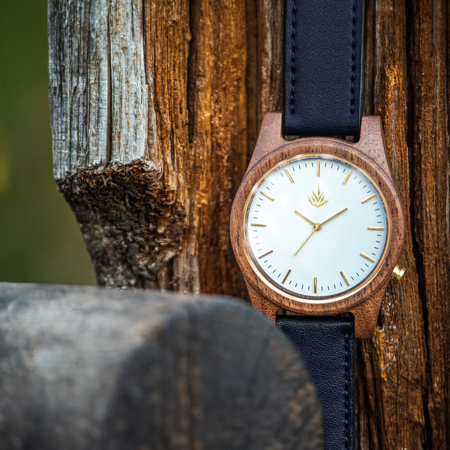 Agavia Line 44mm - Walnut / White