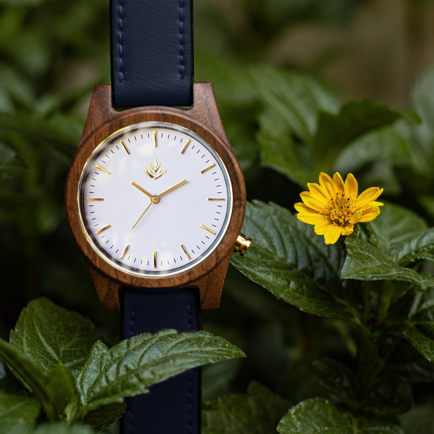 Agavia Line 44mm - Walnut / White