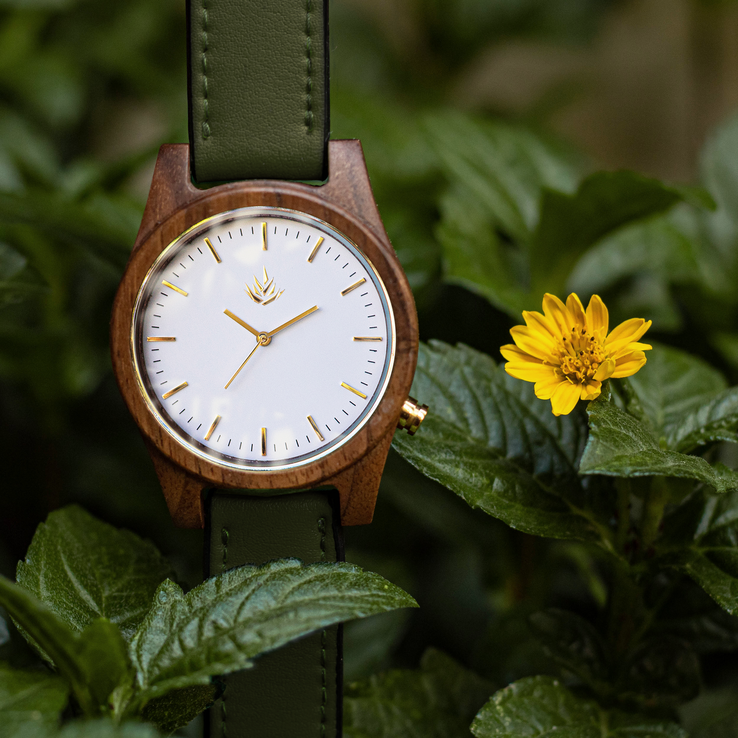 Agavia Line 44mm - Walnut / White