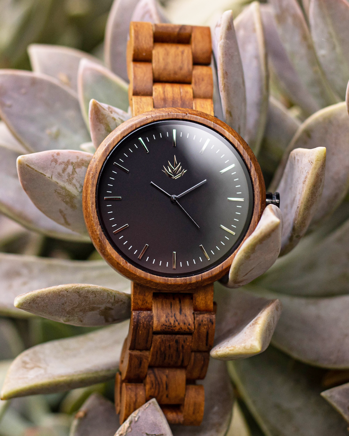 Línea Edición Especial 44mm - Teca