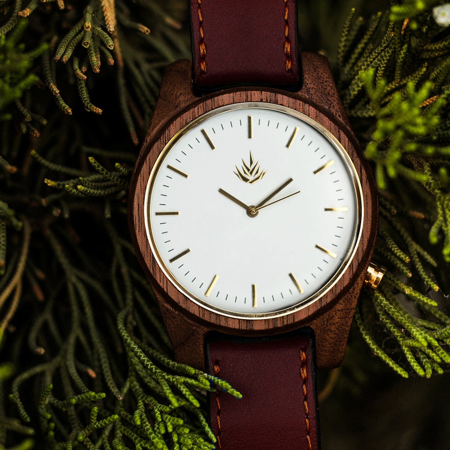 Agavia Line 44mm - Walnut / White