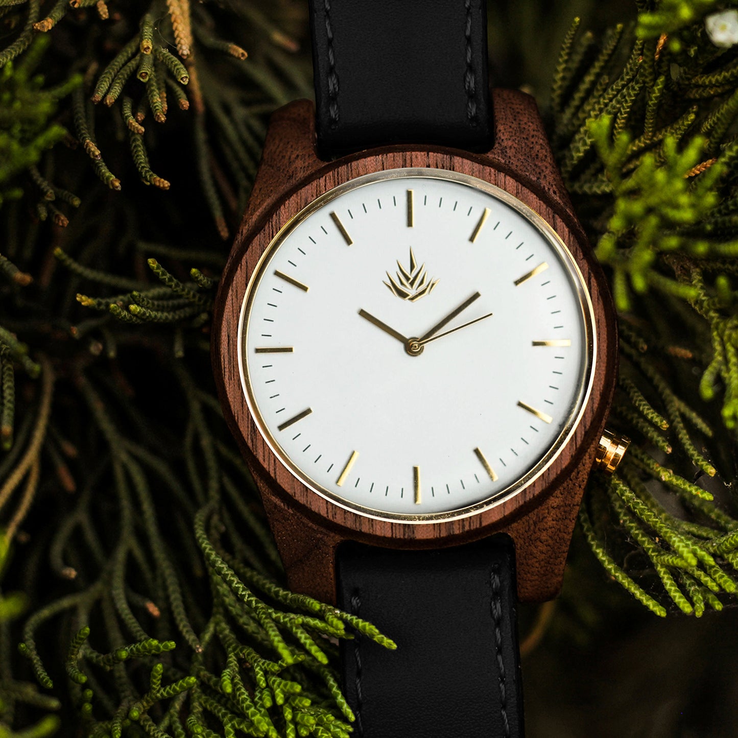 Agavia Line 44mm - Walnut / White