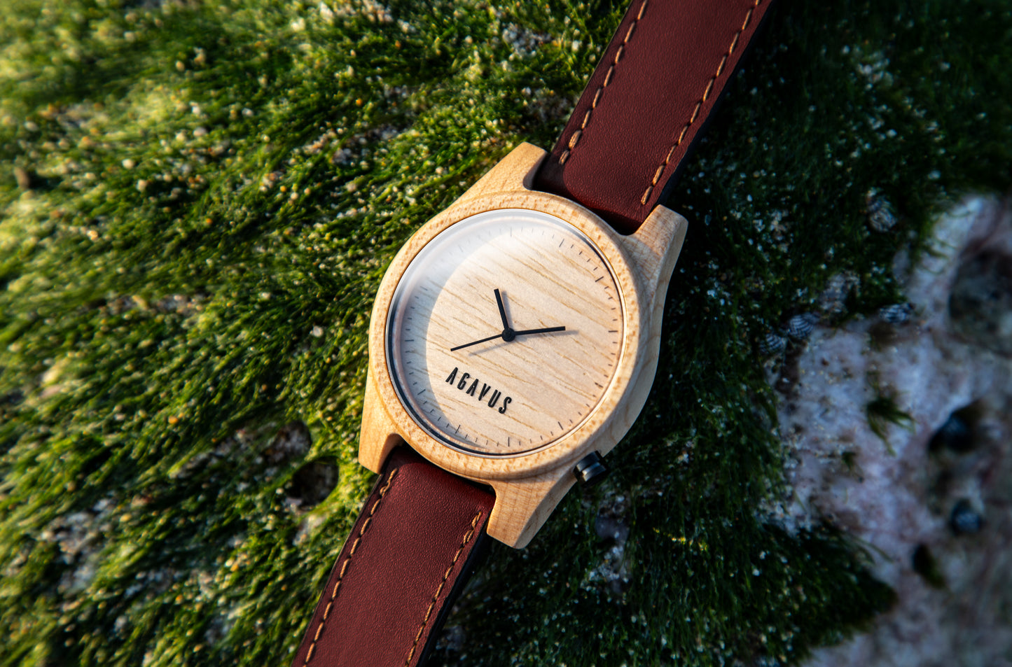 Agavia Line 44mm - Maple