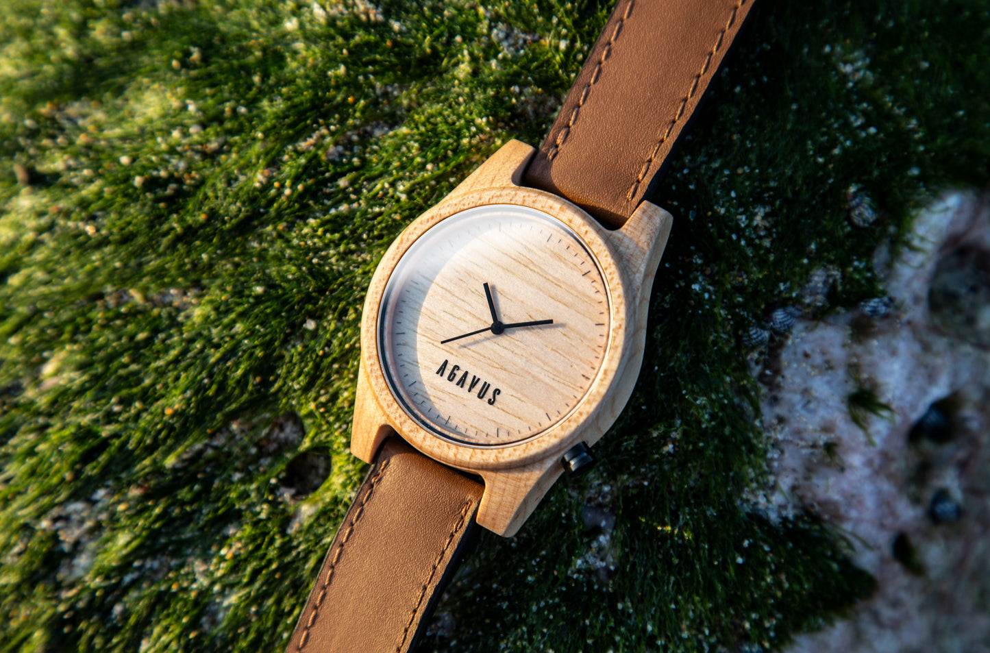 Agavia Line 44mm - Maple