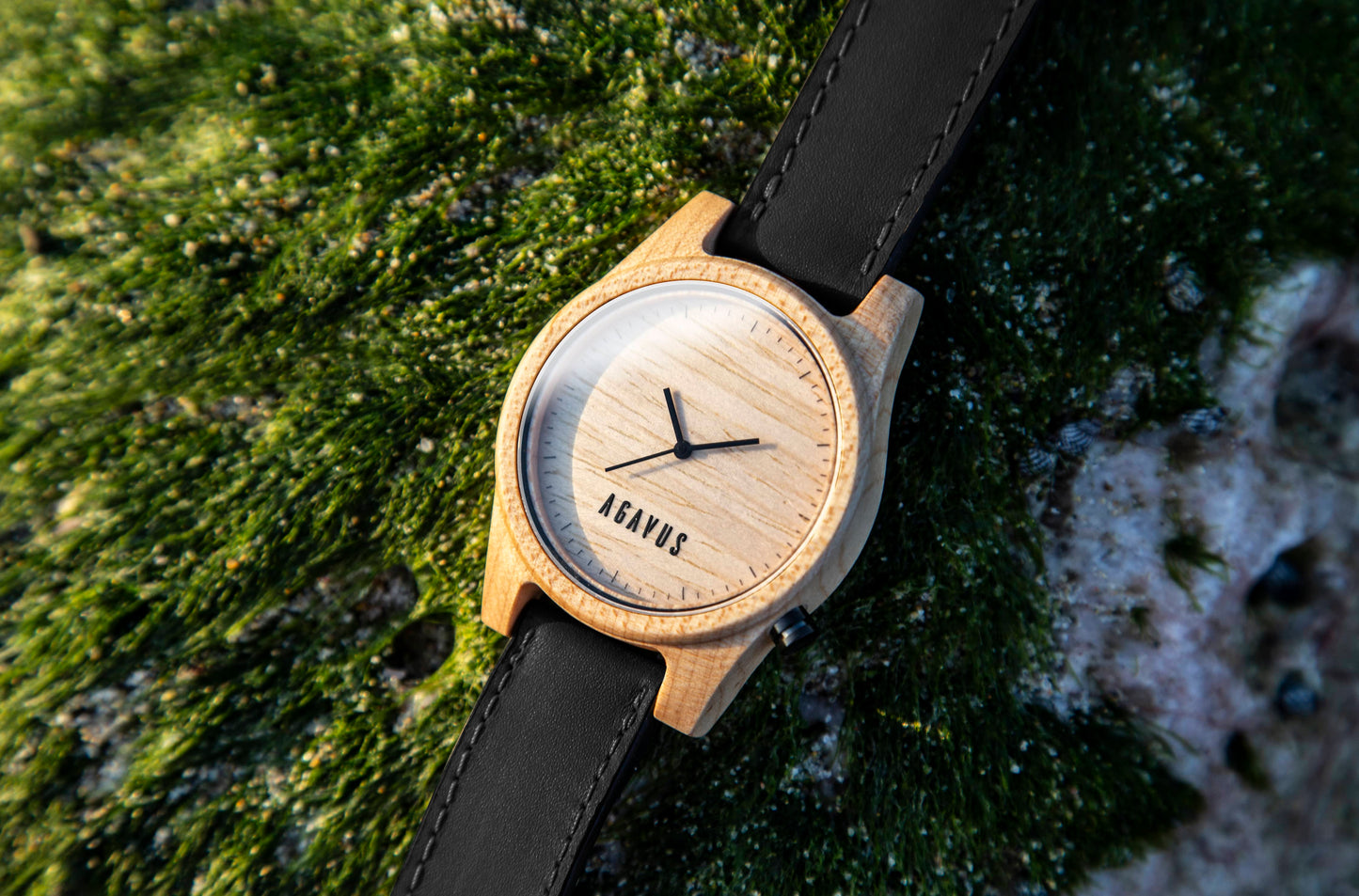 Agavia Line 44mm - Maple