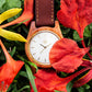 Agavia Line Pair 37mm and 44mm (Sapeli) - Mahogany 