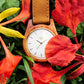 Agavia Line Pair 37mm and 44mm (Sapeli) - Mahogany 