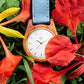 Línea Agavia 37mm - Caoba