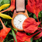 Línea Agavia 37mm - Caoba