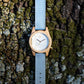 Agavia Line 37mm - Maple 
