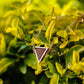 Triangular bracelet / Walnut