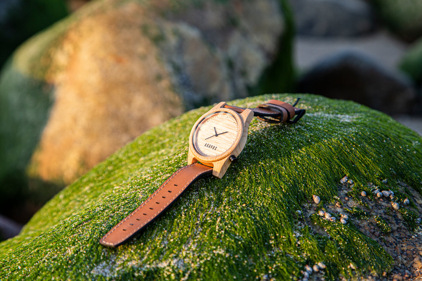 Agavia Line 44mm - Maple